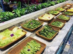 -火锅岛潮牌自助餐厅(天津天佑城店)