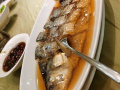 清蒸鲥鱼-金时代顺风大酒店(协泰店)