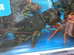-盒马鲜生(大成店)