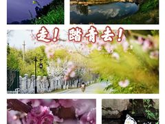 -沂蒙山旅游区龟蒙景区