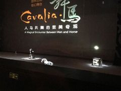 -cavalia·舞马