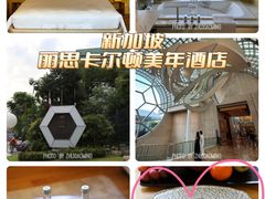 -新加坡丽思卡尔顿美年酒店