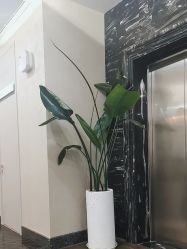 -上海首尔丽格医疗美容医院