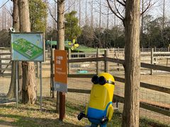 -前小桔亲子创意农场·草莓采摘·露营烧烤