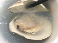 -广达眼镜炖罐(广达店)