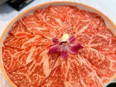 -鲜入围煮花胶鸡海鲜火锅
