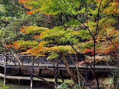 -白马涧龙池景区