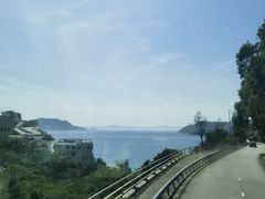 -Big Bus Tours 敞篷观光巴士