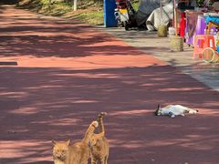 -敬亭山风景名胜区