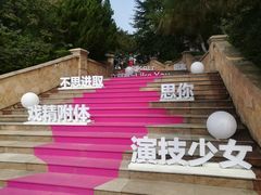-泰安方特欢乐世界