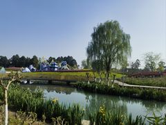-天府芙蓉园