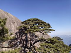 -黄山白云宾馆