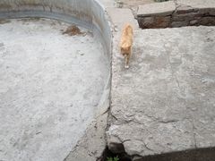 -贮水山儿童公园