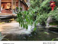-翠湖里(翠湖南路店)