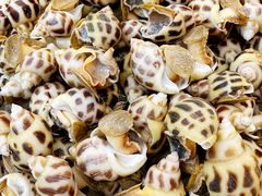 -上海虹桥宾馆味翠餐厅