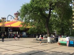 -哈尔滨文化公园