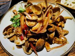 -并州大牌档之醉轻尘