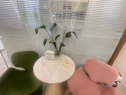 -FUMEIHUI·科技美肤·美体SPA