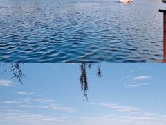 -莱西月湖公园
