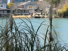 -巡塘古镇