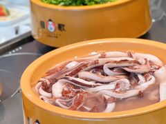 -龍歌自助小火锅(漳州二路爱购店)