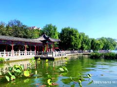 -趵突泉景区