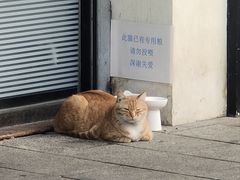 -泰洋动物医院·神经专科·磁共振·CT(天河公园总院)