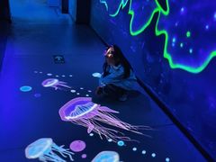 -海合安成都极地海洋公园