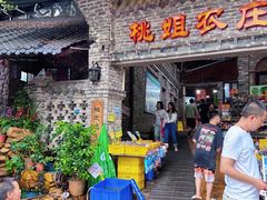 -桃姐农庄老字号(从化温泉店)