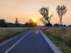 -良渚古城遗址公园