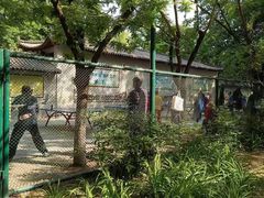 -莲花池公园