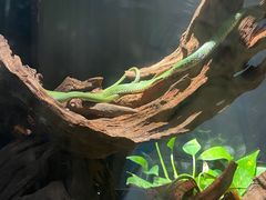 -昆明动物园