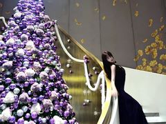 -华尔道夫酒店·紫金阁