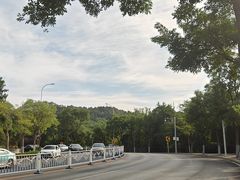 -大连植物园