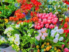 -双季花艺园艺市场(浦东店)