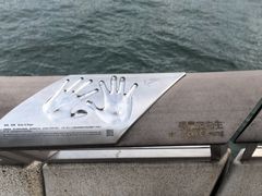 -星光大道