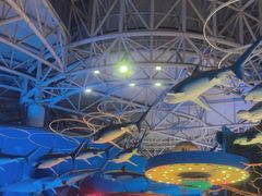 -烟台海昌鲸鲨海洋公园