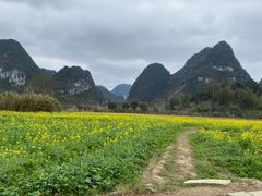 -靖西鹅泉风景区