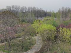 -洛阳市隋唐城遗址植物园