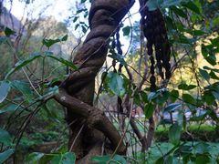 -宁波五龙潭景区