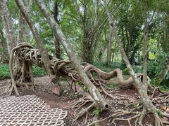 -中国科学院西双版纳热带植物园