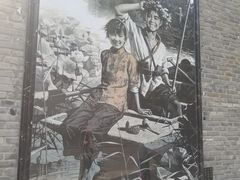 -白洋淀景区