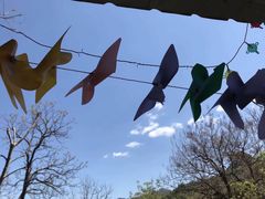 -南窖乡水峪村山情农家