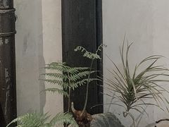 -Metal hands·铁手咖啡