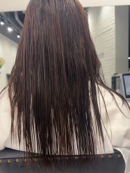 -程Studio