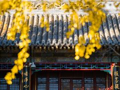 -潭柘寺景区