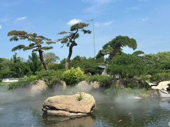 -罗红摄影艺术馆