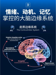 -归位瑜伽＆普拉提馆