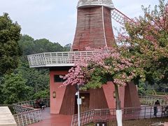 -东莞植物园