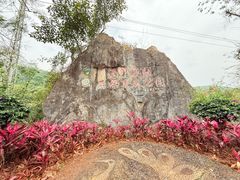 -西双版纳原始森林公园